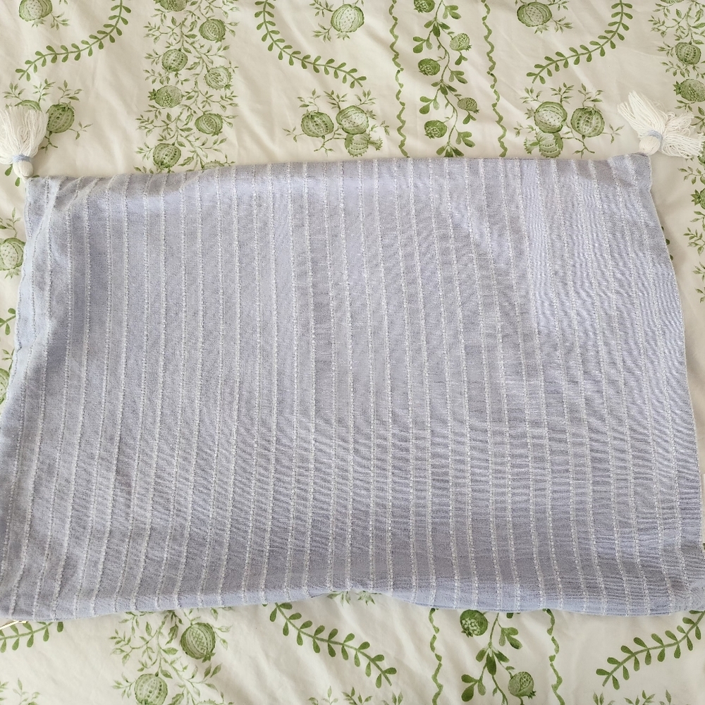 Caitlin Wilson Light Blue Striped Pillow Cover